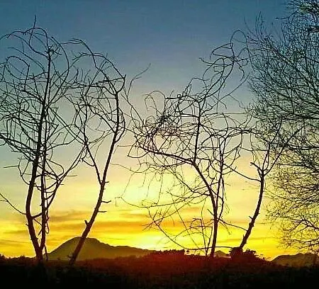 ゲストハウス Toranda