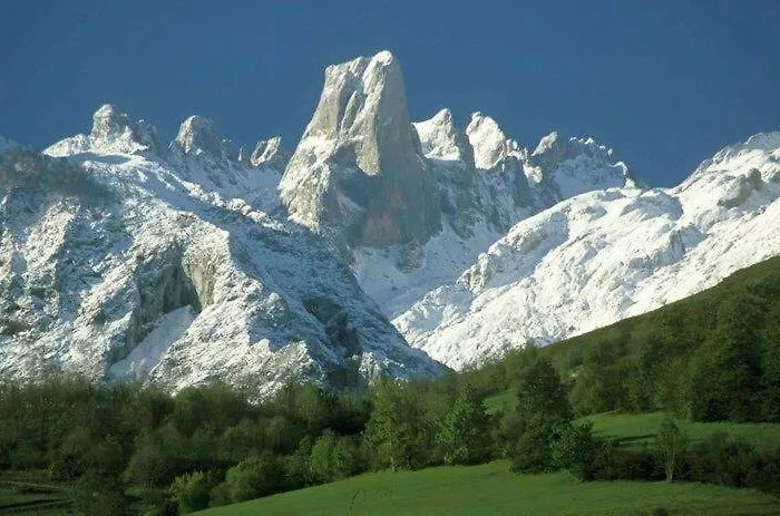 Pensión Toranda Niembro